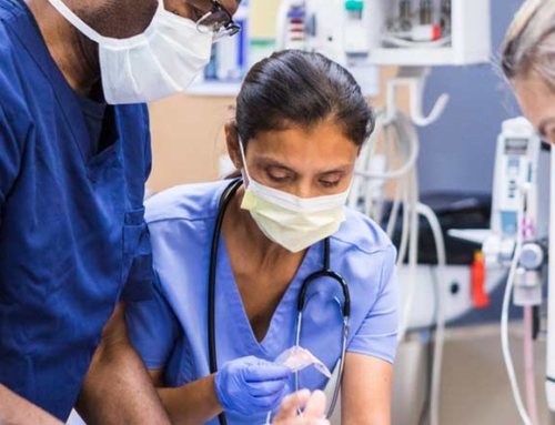 The Benefits of Earning Your RN to BSN Online: More Opportunities, More Success